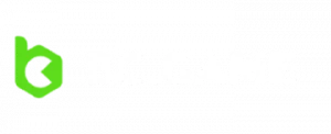 bcgame logo